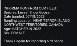 IMG_8961.jpeg IMG_8961.jpeg