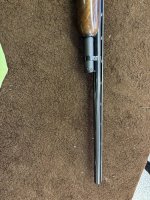 IMG_3942.JPEG