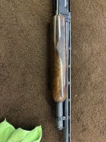 IMG_3941.JPEG