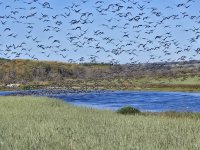 Resized_20250922_102637.jpeg Resized_20250922_102637.jpeg