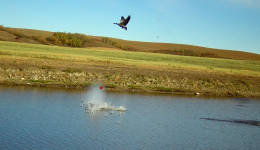 IMG_8975.png IMG_8975.png