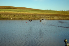 IMG_8976.png IMG_8976.png