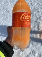 IMG_3665.jpeg