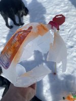 IMG_3663.jpeg