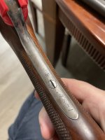 IMG_7408.jpeg