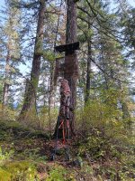 20251004_120027 - Copy.jpg