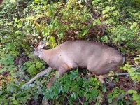 20251004_120459 - Copy.jpg