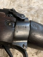 IMG_1961.jpeg