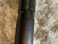 IMG_1966.jpeg
