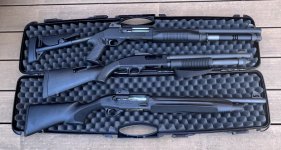 IMG_9355.jpeg IMG_9355.jpeg