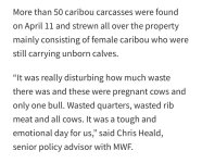 IMG_0078.jpeg IMG_0078.jpeg