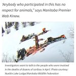 IMG_0077.jpeg IMG_0077.jpeg