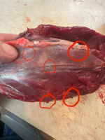 1760627243066.png 1760627243066.png