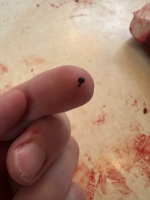 1760627281661.png 1760627281661.png