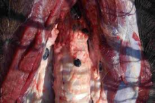 1760627771557.png 1760627771557.png