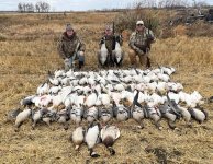 IMG_9148.jpeg IMG_9148.jpeg