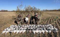 IMG_9179.jpeg IMG_9179.jpeg