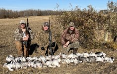 IMG_9251.jpeg IMG_9251.jpeg