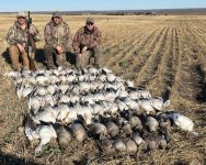 download.jpg download.jpg