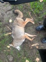 IMG_0794.jpg IMG_0794.jpg