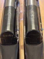 IMG_7221.jpeg