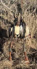 IMG_9332.jpeg IMG_9332.jpeg