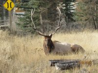 IMG_2582.JPG IMG_2582.JPG