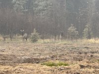 IMG_2641.jpeg IMG_2641.jpeg