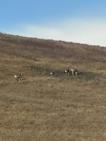 IMG_4315.jpeg IMG_4315.jpeg