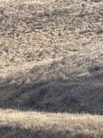 IMG_4320.jpeg IMG_4320.jpeg