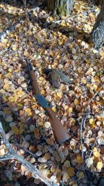 20251018_142749(1).jpg 20251018_142749(1).jpg