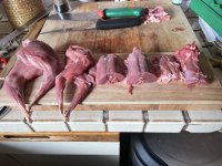 IMG_3619.jpeg IMG_3619.jpeg