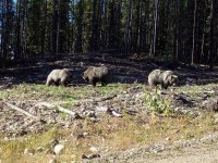 466925898_10161410715906154_3579222402006884023_n.jpg 466925898_10161410715906154_3579222402006884023_n.jpg