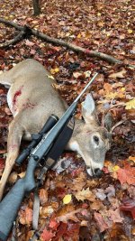 end result.jpg end result.jpg