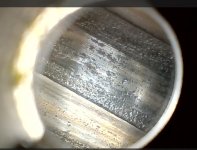 4-13-24 -51-Tula Pic.jpg