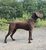 20221119_153127.jpg 20221119_153127.jpg