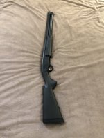 IMG_3729.jpeg IMG_3729.jpeg