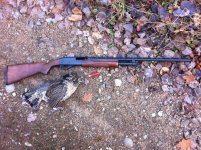 image.jpeg image.jpeg