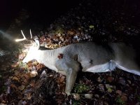 20251105_175450.jpg 20251105_175450.jpg