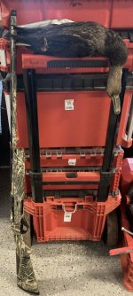 IMG_5807.jpeg IMG_5807.jpeg