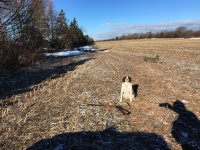 IMG_4352.jpeg IMG_4352.jpeg