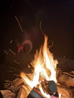 IMG_0051.jpeg IMG_0051.jpeg