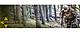 ASAT%20Banner-700x292.jpg