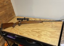 IMG_9365.jpeg IMG_9365.jpeg