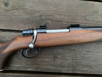 IMG_4646.jpeg IMG_4646.jpeg