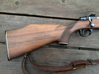 IMG_4647.jpeg IMG_4647.jpeg