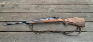 IMG_4649.jpeg IMG_4649.jpeg