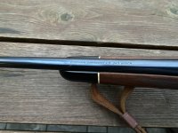 IMG_4652.jpeg IMG_4652.jpeg