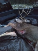 20251126_162647 - Copy.jpg 20251126_162647 - Copy.jpg