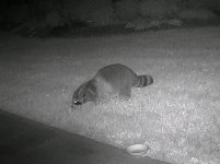 2025-06-21_07.11.09.722_AD7CD798.jpg 2025-06-21_07.11.09.722_AD7CD798.jpg